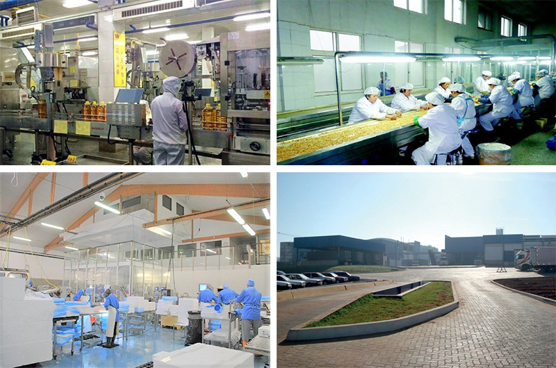 Processus de production