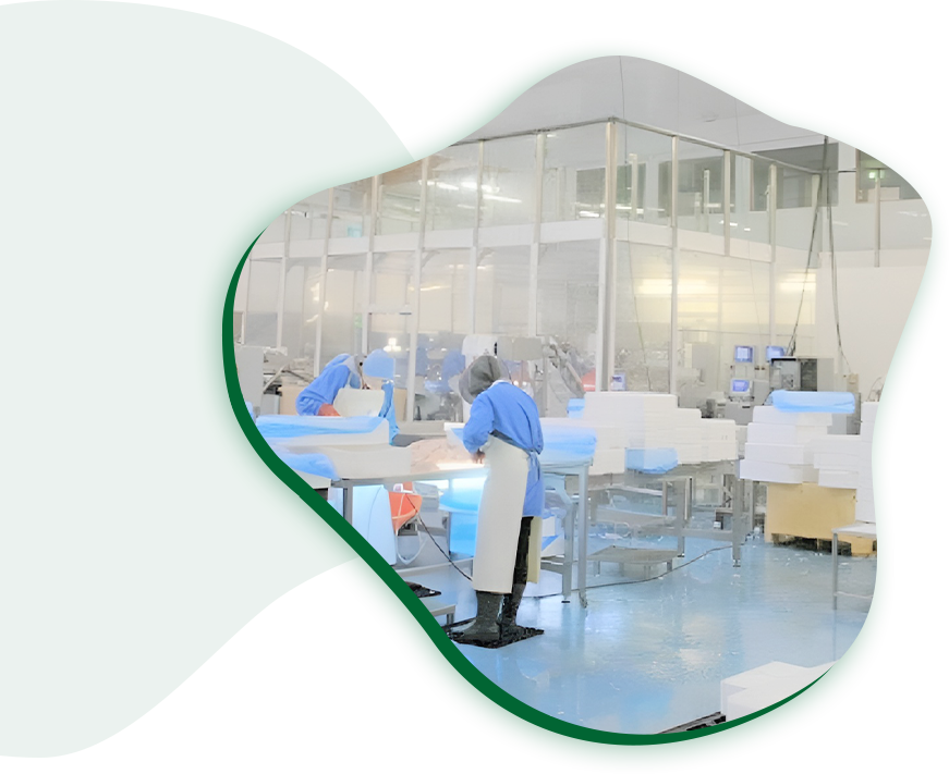 Fabricant de produits alimentaires de qualité professionnelle