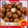 Macadamia noix