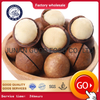 Macadamia noix