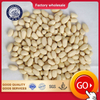 Grains de cacahuète blanchies
