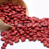 Arachide de peau rouge