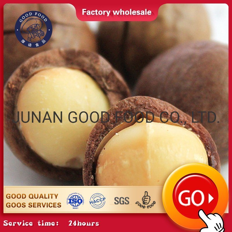 Macadamia noix