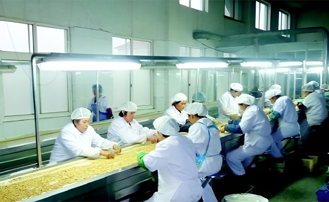Processus de fabrication des arachides, des macadamia et des fruits séchés