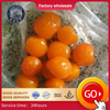Kumquat séché